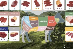 Know your Beef Meat Cuts