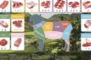 Know your Lamb Meat Cuts