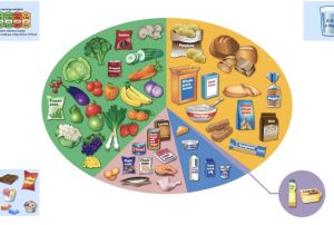 Canllaw 'Eatwell'