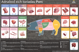 Adnabod eich toriadau porc