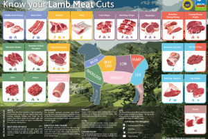 Know your lamb cuts 